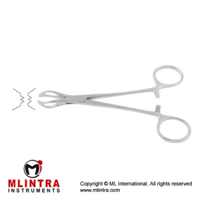 Lane Towel Clamp Stainless Steel, 19.5 cm - 7 3/4" 